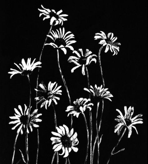 Flower Drawing On Black Paper, Black Paper Drawing Ideas Easy, Black Paper Drawing Ideas, Paper Drawing Ideas, Flower Black And White, Black Canvas Art, Scratchboard Art, Black Canvas Paintings, Black Paper Drawing