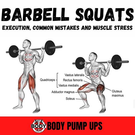 Barbell Squat

If there is only one exercise you want to do for leg exercises, then it should be Squats. Nothing comes close to squat exercises to build muscle mass and tone the legs muscles.

The barbell squat is the king of all exercises, the only challenger being the barbell deadlift.
Follow me @bodypumpup 

#legworkout #legpress #legextension #legcurl #gymworkouts
#hacksquats #barbellsquat #squat #barbellleg #legworkouts #legworkoutday #workoutathome #workout #extensions #exerciselegs Squats Barbell, Squats Muscles Worked, Bigger Legs Workout, Exercises To Build Muscle, Legs Muscles, Squat Exercises, Anatomy Muscles, Types Of Squats, Barbell Deadlift