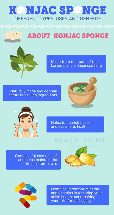 All you need to know about the Konjac Sponge!|BLACK PAINT Microbiome Skincare Konjac Sponge Benefits, African Net Sponge Benefits, Microbiome Skincare, Konjac Noodles Recipes Low Calorie, Konjac Jelly, Konjac Sponge, K Beauty, Skin Moisturizer, Glow Up?