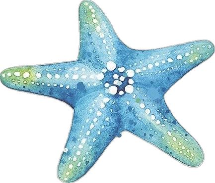 Starfish Drawing, Starfish, Creative Ideas, Decoupage, Collage, Drawings, Water, Quick Saves, Pins