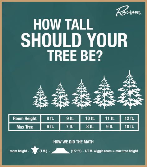 What Size Christmas Tree Do I Need, Christmas Tree Size Guide, Christmas Tree Height Guide, Christmas Fun Facts, Christmas Tree Care, Realistic Artificial Christmas Trees, Christmas Tree Lots, Christmas Tree Sale, Farm Business