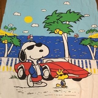 Summer Cartoon Aesthetic, Peanuts Cartoon Quotes, Snoopy Summer, Mickey Bathroom, Cartoons 80s 90s, Snoopy Comics, Peanuts Comic Strip, Twitter Backgrounds, Snoopy Funny