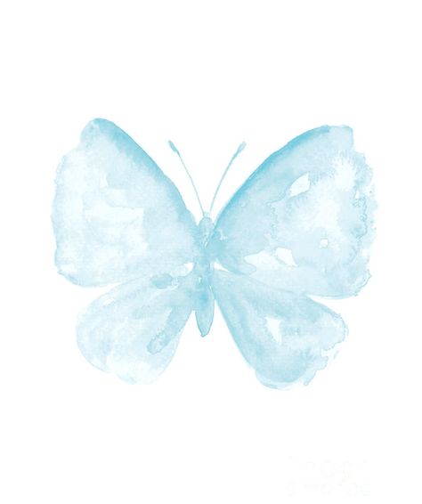 Light Blue Watercolor, Art Butterflies, Blue Butterfly Wallpaper, Baby Art Projects, Bow Wallpaper, Plant Art Print, Blue Aesthetic Pastel, Butterfly Illustration, Watercolor Pictures