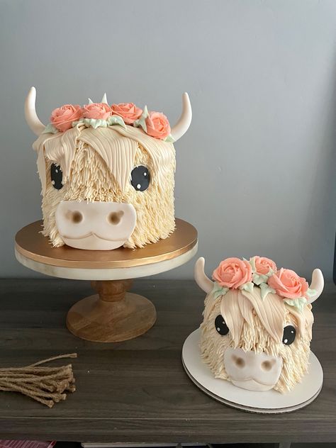 Highland Cow Birthday Cake Ideas, Highland Cow Cake, Cow Birthday Cake, Cow Cake, Cow Cakes, Baby First Birthday Cake, Rodeo Birthday, Individual Cakes, Cow Birthday