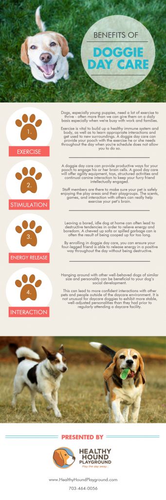 Benefits of doggie daycare                                                                                                                                                     More Doggie Daycare Ideas, Doggy Daycare Ideas, Dog Daycare Ideas, Dog Boarding Ideas, Dog Daycare Business, Indoor Dog Park, Pet Daycare, Dog Day Care, Doggie Day Care