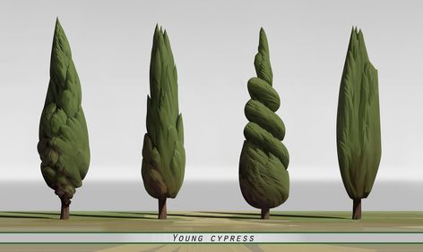 ArtStation - Cypress design 1 , Ulysse Verhasselt Props Concept, Bg Design, Low Poly Art, Cypress Trees, Tree Illustration, Digital Painting Tutorials, Tree Drawing, Game Inspiration, Prop Design