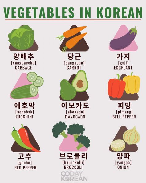 Vegetables are indeed important. They provide a lot of health benefits! No wonder Koreans love eating vegetables every day. Learn how to say vegetables in Korean here: https://www.90daykorean.com/fruits-nuts-vegetables-in-korean/ #learnkorean #koreanvegetables #90daykorean #koreanwords #koreanvocabulary Korean Important Words, How To Say No In Korean, Foods In Korean, Food In Korean Language, Vegetables In Japanese, Fruit In Korean, No In Korean, Fruits In Korean, Vegetables In Korean