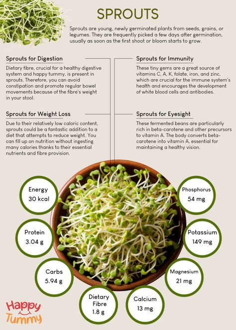 The Nutrient-Rich Benefits of Sprouts - Happytummy Broccoli Sprouts Benefits, Sprouts Benefits, Broccoli Sprouts, Better Digestion, Diy Shampoo, Healthy Eyes, Fiber Foods, Healing Food, Foods To Avoid