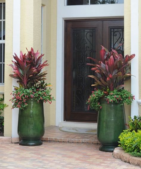 Plant Pot Front Door, Cordyline Plants Landscaping, Front Door The Home Depot, Aesthetic Flower Pot, Planters Front Door, Plant Garden Design, Potted Plant Garden, Tall Planters Front Door, Summer Pots