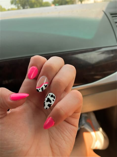 Pictures Of Nails Ideas, Preppy Cowgirl Nail Ideas, Gel Nail Designs Cow Print, Nail Ideas Cowgirl, Nail Art Designs Cow Print, Hot Pink Cowprint Nails, Summer Nails Country, Cute Nails For Fair, Nail Cow Designs