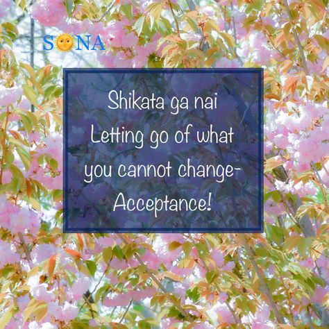 Totally loving my previously discovered Japanese philosophies of Wabi Sabi & Ikigai. I am thrilled to see that they have another philosophy for a very fundamental part of the work I do. Shikata ga nai - the letting go of what we cannot change/It cannot be helped/nothing can be done about it. In my 1:2:1 sessions I invite people to imagine emptying out their bag of shit and each ‘stone’ landing on one or other of two plates (inspired by Stephen Covey’s work). One plate being where they ca Shikata Ga Nai, Japanese Philosophy, Stephen Covey, Japanese Words, Wabi Sabi, Letting Go, Philosophy, Let It Be, Canning