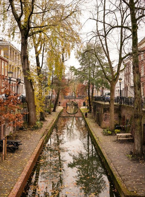 A self-guided walking tour of adorable Utrecht - A Globe Well Travelled Utrecht Aesthetic, Where To Next, A Globe, Utrecht, Study Abroad, Walking Tour, Tour Guide, Holland, Netherlands