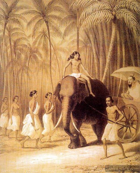 Route between Colombo and Kandy Last Kingdom, Art Articles, The Last Kingdom, Asian History, Island Paradise, Elephant Love, Old Images, Vintage Illustrations, Kandy