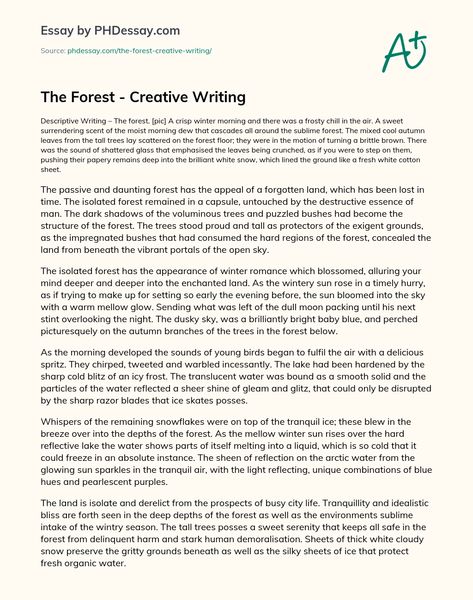 The Forest - Creative Writing Essay Example (500 Words) - PHDessay.com Article Essay Example, 5 Paragraph Essay Examples, Story Writing Examples, Describing Forest Writing, Forest Descriptive Writing, Feature Writing Example, Article Writing Example, Gcse Creative Writing Example, Descriptive Essay Example