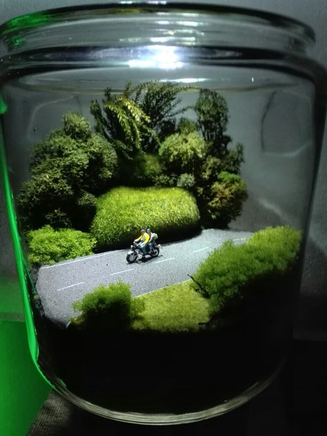 Terrarium#scenery # diorama# Diorama In A Jar, Moss Diorama, Diorama Terrarium, Terrarium Scene, Terrarium Jar, Plants In Bottles, Beautiful Terrariums, Aquascape Aquarium, Garden Terrarium