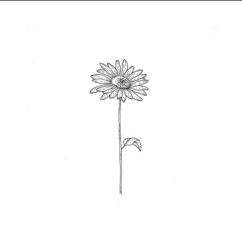 Linework Daisy Tattoo, Daisy Flower Tattoos Men, Dazy Flower Tattoo, Daisy With Stem Tattoo, Daisy Tattoo With Name In Stem, Single Daisy Tattoo, Single Stem Flower Tattoo, Fine Line Daisy Tattoo, Flower Tattoo On Ribs