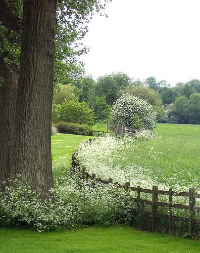 Meadow Garden, Landscape Designs, Wooden Fence, White Gardens, Green Gables, Garden Cottage, Country Gardening, Dream Garden, Landscaping Ideas