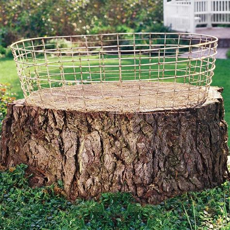 15 Creative Tree Stump Ideas To Style Up Your Garden Tree Stump Ideas, Tree Stump Decor, Stump Ideas, Tree Stump Planter, Samos, Wire Basket, Garden Yard Ideas, Tree Stump, Garden Trees