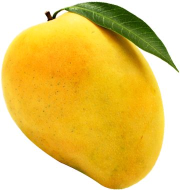 Mango Images, Fruit Nutrition Facts, Mango Benefits, Fruit Nutrition, Fruit Picture, Fruits Images, Mango Fruit, Mango Tree, Fruit Photography