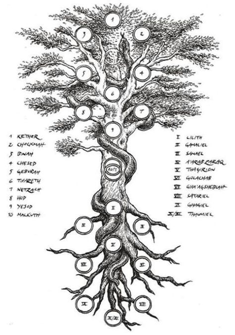 Qabalistic Tree of Life and the Qliphoth. Rabe Tattoo, Esoteric Art, Tree Of Life Tattoo, Occult Art, Ancient Knowledge, The Tree Of Life, Google Lens, Symbolic Tattoos, Life Tattoos