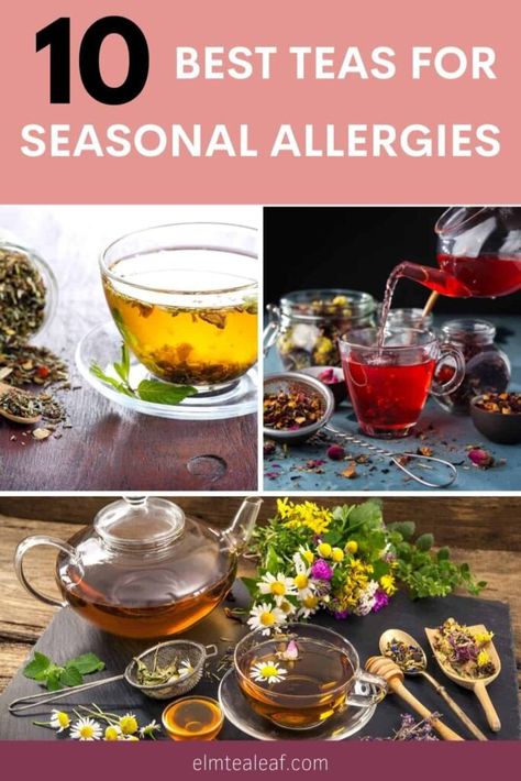 Tea For Allergies, Hay Fever Symptoms, Seasonal Allergy Symptoms, Licorice Tea, Fever Symptoms, Best Teas, Tulsi Tea, Lemon Balm Tea, Matcha Green Tea Latte