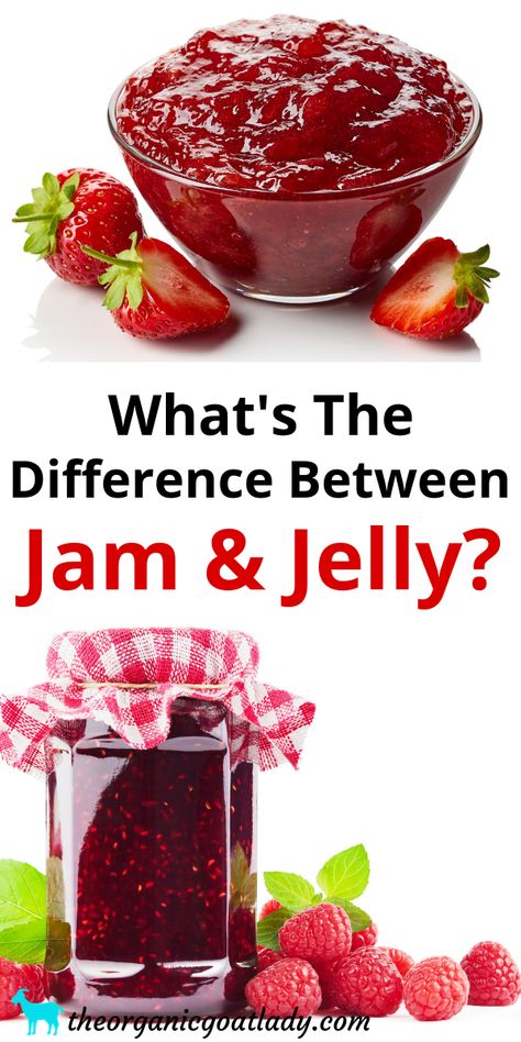 What's the Difference Between Jam and Jelly? - Jam Recipes - Preserving Food - Self Sufficiency - Jams and Jellies Peanuts Health Benefits, Jams Recipes, Jelly Toast, Homestead Recipes, Jam Toast, Jams And Jellies, Self Sufficiency, How To Make Jelly, Modern Homestead