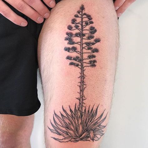 Yucca Tattoo, Agave Tattoo, Tat Ideas, First Tattoo, Tattoos For Guys, Flower Tattoo, Tatting, Chef, Thank You