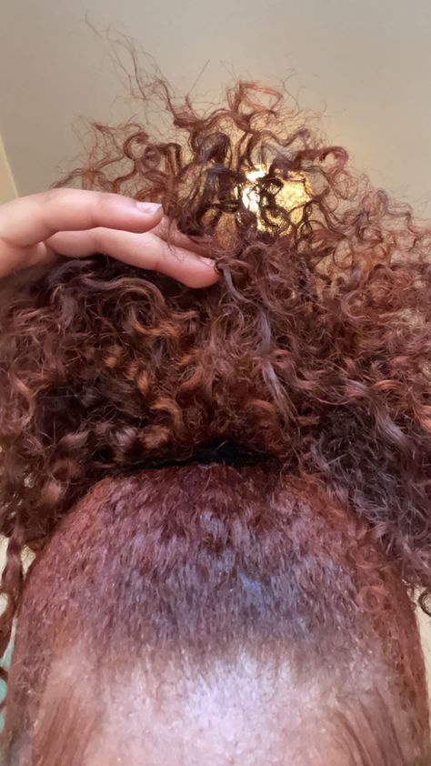 Reddish Brown Natural Hair Black Women, Honey Brown And Red Hair, Copper Brown Natural Hair, Dyed Natural Hair Highlights, Auburn 4c Hair, Hair Dye Ideas Black Women Natural Hair, Dyed Curly Hair Black Women, Copper Brown Hair Dye, Ginger Brown Hair Black Women