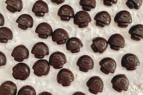 Magic Mushroom Recipe, Mushroom Chocolate, Chocolate Bar Recipe, Cannibis Recipes, Mushroom Varieties, How To Temper Chocolate, Ancient Recipes, Food Thermometer, Chocolate Diamonds