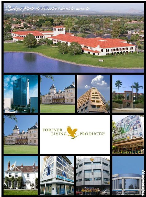 #myforeverdream is to go to all the countries which is located, Forever Living Forever Living Products Offices, Flp Logo, Forever Living Products Logo, Forever Living Products Business, Forever Living Company, Flp Products, Forever Logo, Forever Company, Network Marketing Recruiting