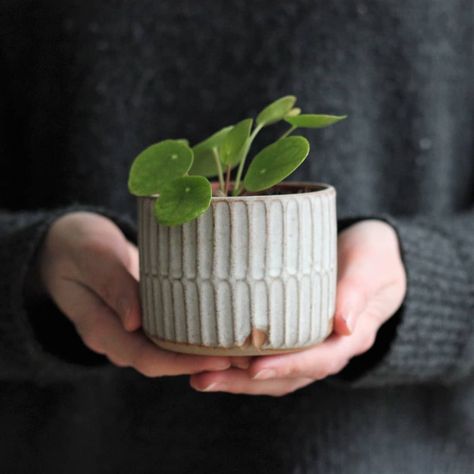 Hilda Carr Pottery on Instagram: “I'm really not one for measuring; I'm more of an eyeballing it kind of person, but I've made an exception for these mini planters which are…” Pottery Plant Pots, Mini Planters, Pottery Plant Pot, Ceramics Pottery Bowls, Handmade Ceramic Planters, Pottery Pots, Pottery Pot, Sculptures Céramiques, Diy Ceramic