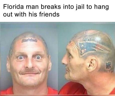 The adventures of Florida man Florida Man Meme, Florida Funny, Funny Headlines, Dystopian World, Man Moment, Florida Man, Funny News, Crazy Funny Memes, Funny Posts