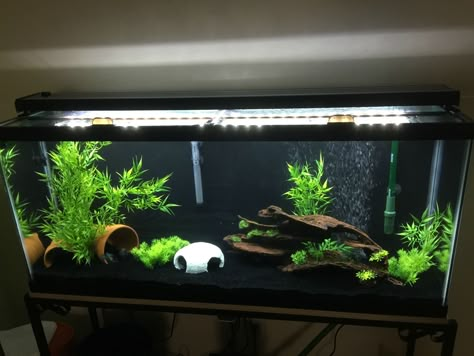 Easily set up 55 gallon 29 Gallon Tank Ideas, Fish Tank With Black Gravel, 60 Gallon Aquarium Ideas, 55gallon Aquarium Ideas, 55 Gallon Tank Ideas, 55 Gallon Aquascape, 100 Gallon Fish Tank Ideas, 25 Gallon Fish Tank Ideas, 10 Gallon Fish Tank Ideas Decor Aquarium