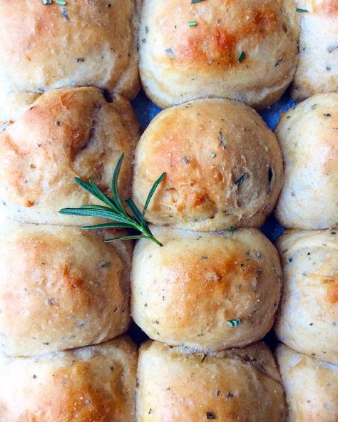 Rosemary Dinner Rolls, Rosemary Dinner, Rosemary Rolls, Whole Wheat Rolls, Wheat Pizza Dough, Savory Breads, Rosemary Bread, Thanksgiving Plates, Whole Wheat Pizza