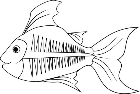 Fish Clipart Black And White, X Ray Fish, Ray Fish, Fish Outline, Black In White, Fish Template, Fish Clipart, Outline Images, Fish Coloring Page