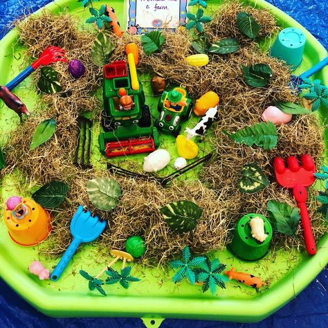 Farm Messy Play Ideas, Farm Messy Play, Farm Tuff Tray Ideas, Barnyard Theme, Nursery Nurse, Farm Activities, Activity Room, Tuff Tray, Toddler Activity