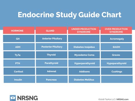 Endocrine System Study Guide With Answers Q&A | NURSING.com Endocrine System Study, Endocrine System Hormones, Endocrine System Nursing, Nursing Essentials, Medical Mnemonics, Nursing Mnemonics, Endocrine Disorders, Pharmacy School, Pharmacology Nursing