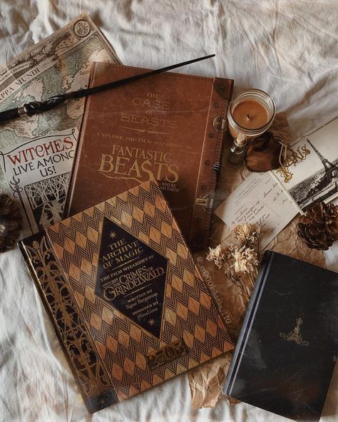 Hermione Motivation, Albus Dumbledore Aesthetic, Fantastic Beasts Aesthetic, Poppy Sweeting, Newt Scamander Aesthetic, Fall Textures, Prim Rose, Hufflepuff Aesthetic, Harry Potter Girl