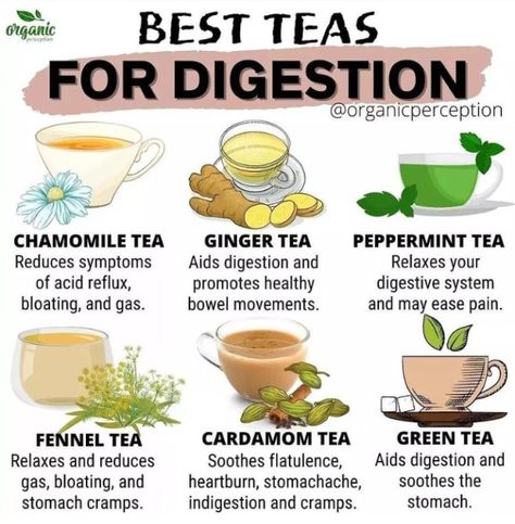 Teas For Digestion, Indigestion Remedies, Tea For Digestion, Best Teas, Fennel Tea, Tea Remedies, Healing Tea, Tea Health Benefits, Health Tea