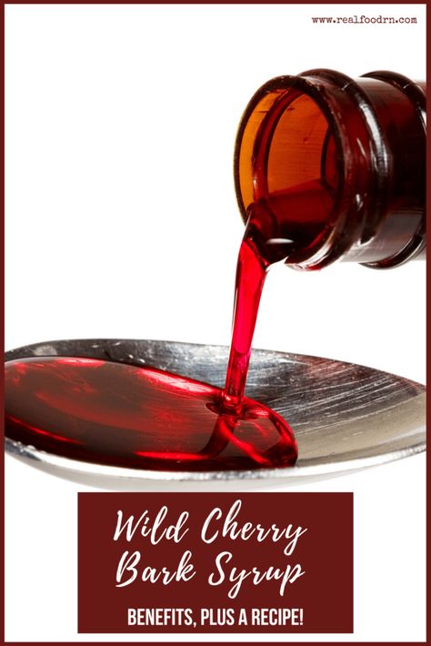 Wild cherry bark syrup can be a lifesaver for coughs and respiratory illnesses and help with digestive issues, skin irritations, and as a mild sedative. Read the full post! Diy Tinctures, Herbal Cough Syrup, Cough Syrup Recipe, Medicinal Herbs Remedies, Herbal Benefits, Natural Medicine Cabinet, Rose Hip Oil, Home Apothecary, Cherry Syrup