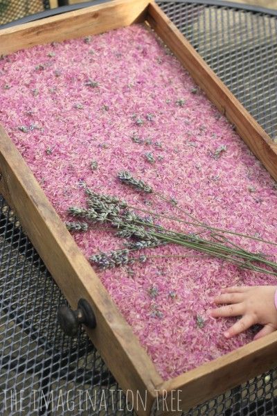 arroz con aroma de lavanda natural Counselling Activities, Lavender Rice, Sensory Rice, Memory Care Activities, Sensory Table Ideas, Sensory Tables, Sensory Tubs, Lavender Crafts, Imagination Tree