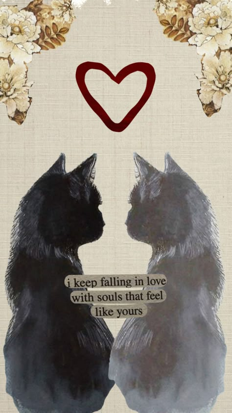 Couples Phone Wallpaper, Cute Cat Wallpaper, Cats Love, Cat Wallpaper, Cute Cat, In Love