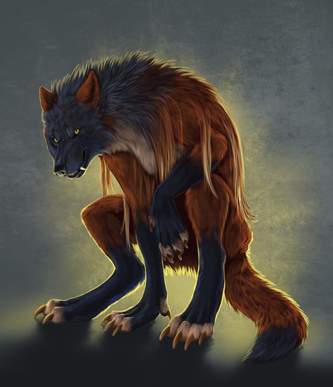 Lycanthrope Art, Werewolf Art, Magical Creature, Vampires And Werewolves, Fantasy Beasts, Wolf Pictures, Creatures Of The Night, Anime Wolf, Mythical Creatures Art