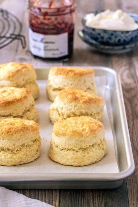 You will love these beautifully light and fluffy lemonade scones. With a crisp, golden outer layer, crumbly edges and ultra-soft interior, they are perfect for morning or afternoon tea served with jam and fresh cream. And the best part? They are ready to serve in about 30 minutes! Yogurt Biscuit Recipe, Greek Yogurt Biscuits, Yogurt Biscuits, Homemade Greek Yogurt, Flaky Biscuits, Greek Yogurt Recipes, Biscuit Rolls, Honey Glazed, Buttery Biscuits