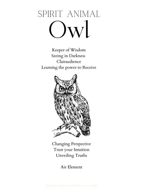 Animals Numbers, Owl Symbolism, Cute Owl Tattoo, Spirit Animal Meaning, Owl Wisdom, Animal Meanings, Spirit Animal Totem, Spiritual Animal, Animal Spirit Guides