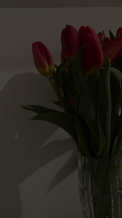 Red Tulips Aesthetic Wallpaper, Bedroom Wallpaper Aesthetic, Bedroom Wallpapers, December Aesthetic, Bathroom Wallpaper Ideas, Wallpapers For Living Room, Wallpaper Store, Living Room Wallpaper, Wallpaper For Kids