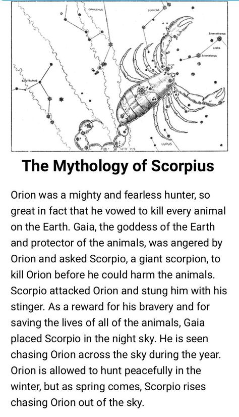 Scorpio Correspondences, Scorpio Mythology, Zodiac Mind Scorpio, Zodiac Quotes Scorpio, Scorpio Star, Scorpio Star Sign, Astrology Scorpio, Astrology Meaning, Scorpio And Capricorn