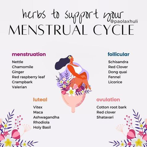 Natural Remedies For Menstrual Cycle, Herbs To Regulate Menstrual Cycle, Herbal Tea Cycle Syncing, Menstrual Cycle Spiritual, Herbs For Cycle Phases, Herbal Menstrual Relief, Cycle Syncing Herbal Teas, Food Based On Menstrual Cycle, Herbs Menstrual Cycle