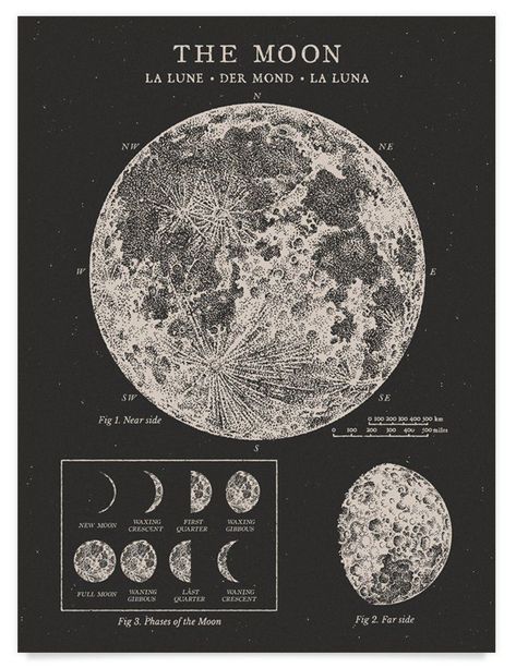 Vintage Astronomy Prints, Grunge Posters, 달력 디자인, Poster Room, Picture Collage Wall, Wallpaper Vintage, Photo Wall Collage, Vintage Poster Art, Art Collage Wall