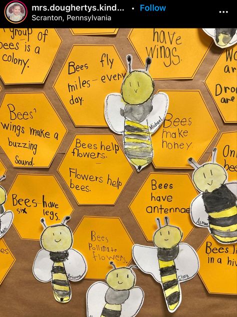 All About Bees, Name Activities Preschool, Bee Life Cycle, Child Development Activities, Bee Crafts For Kids, Insects Preschool, Bee Activities, Bee Classroom, Bee Wings